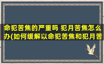 命犯苦焦的严重吗 犯月苦焦怎么办(如何缓解以命犯苦焦和犯月苦焦的困扰？)